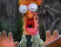 Muppets With Miosis And Mydriasis Muppet Wiki Fandom