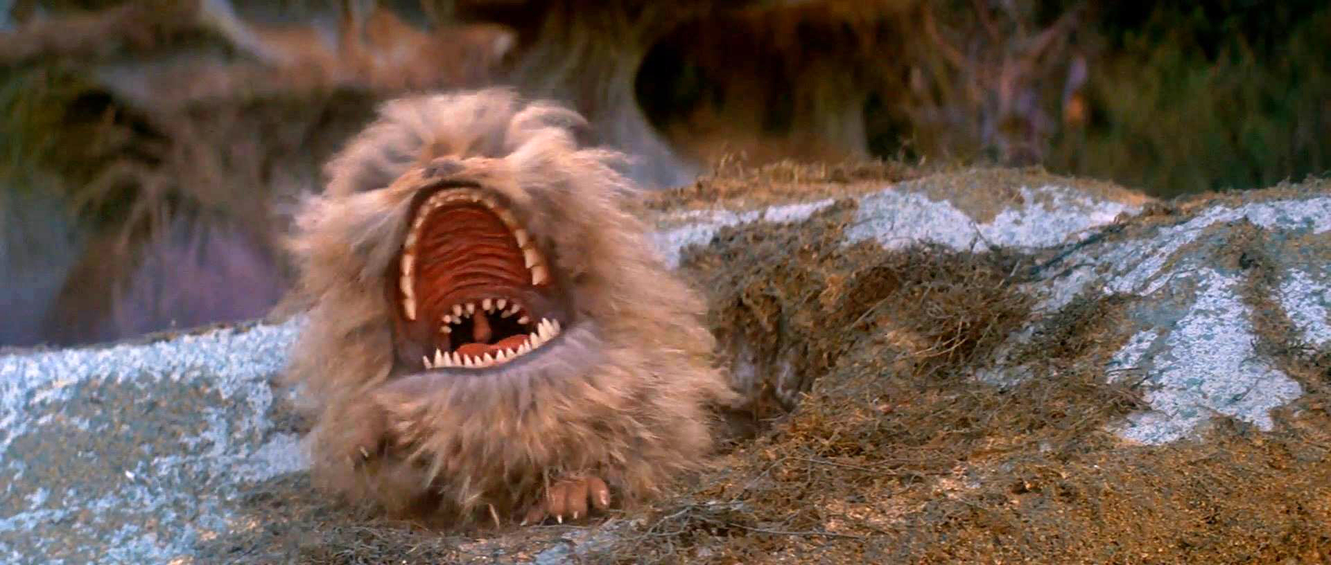 Fizzgig Muppet Wiki Fandom powered by Wikia