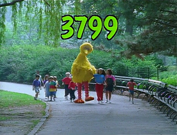 3799.jpg