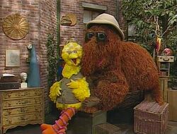 Episode 3879 | Muppet Wiki | Fandom powered by Wikia