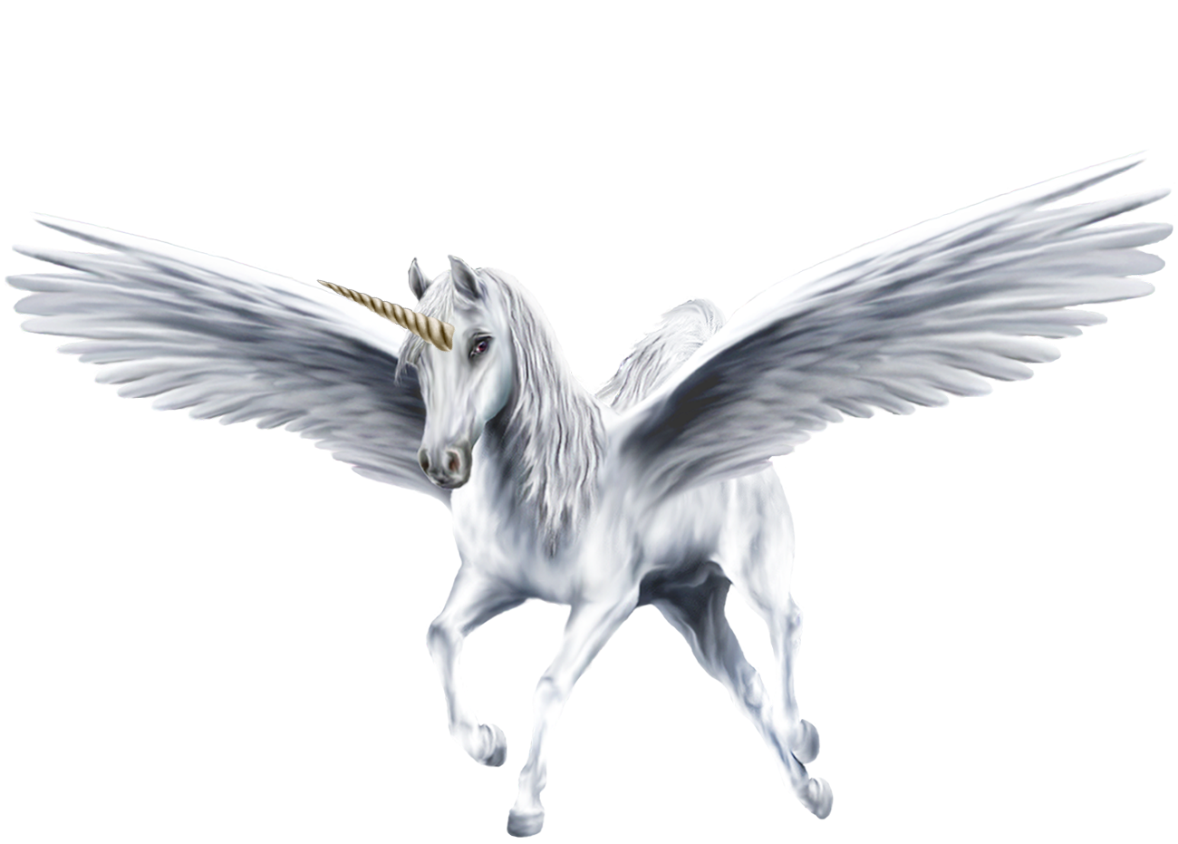 Alicorn Mythology Wiki Fandom Powered By Wikia