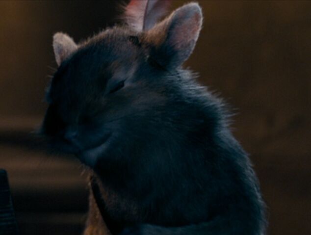 File:Reepicheep04.jpg