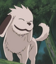 Akamaru.png