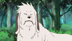 Akamaru.PNG