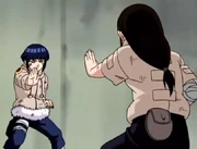 Estilo do Punho Suave.png