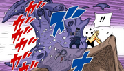 Sasuke protege Naruto e seu falcão