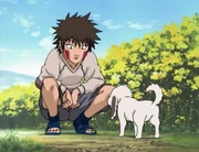Kiba e Akamaru quando menores.png