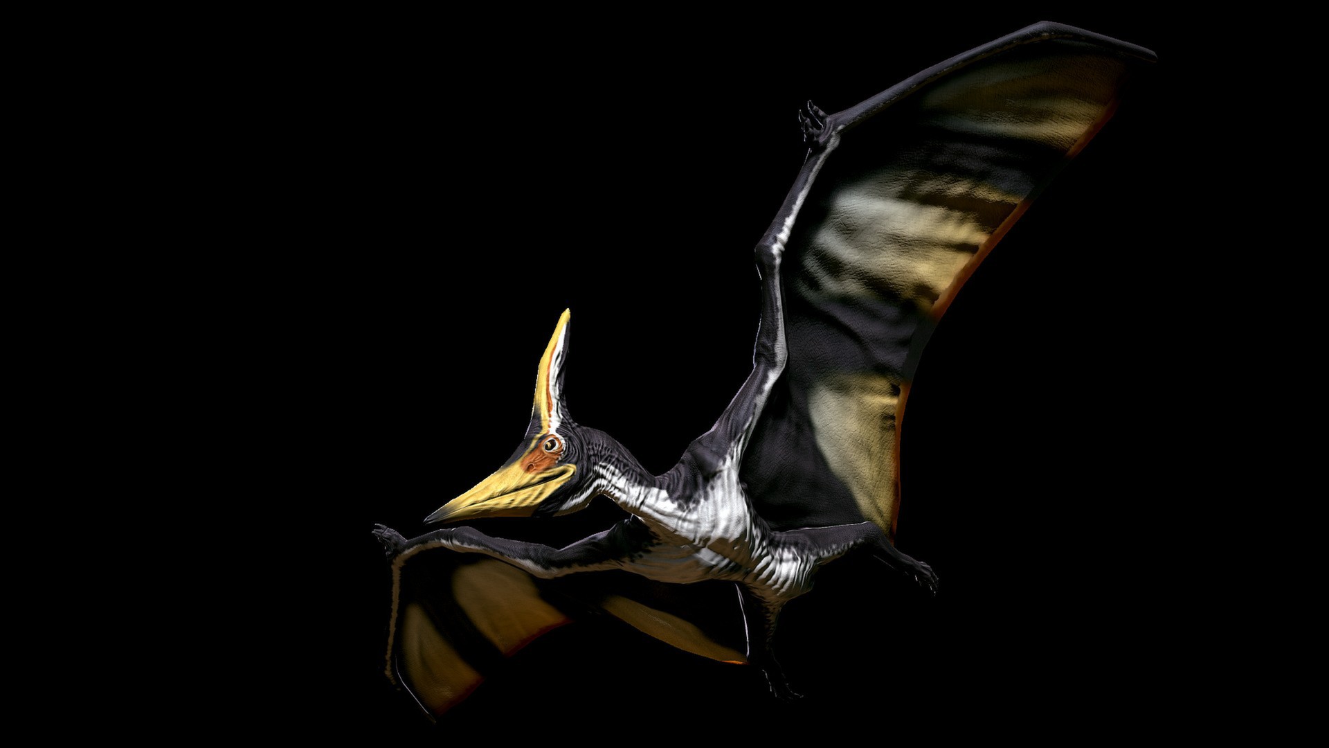 http://vignette1.wikia.nocookie.net/newprimalcarnage/images/9/99/Shadows_Peak_Pteranodon.jpg/revision/latest?cb=20140405143447
