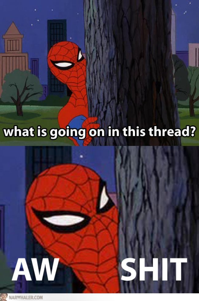 http://vignette1.wikia.nocookie.net/nickfanon/images/9/9f/2932947-what-is-going-on-in-this-thread-spiderman-edrkKb.jpg/revision/latest?cb=20130428030602
