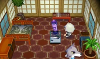 's House