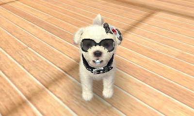 Getting My Dog Nintendogs Cats Getting My Dog Nintendogs Cats