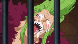 Bartolomeo réaction Zoro.png