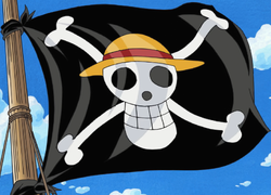 Straw Hat Pirates Animelogy2