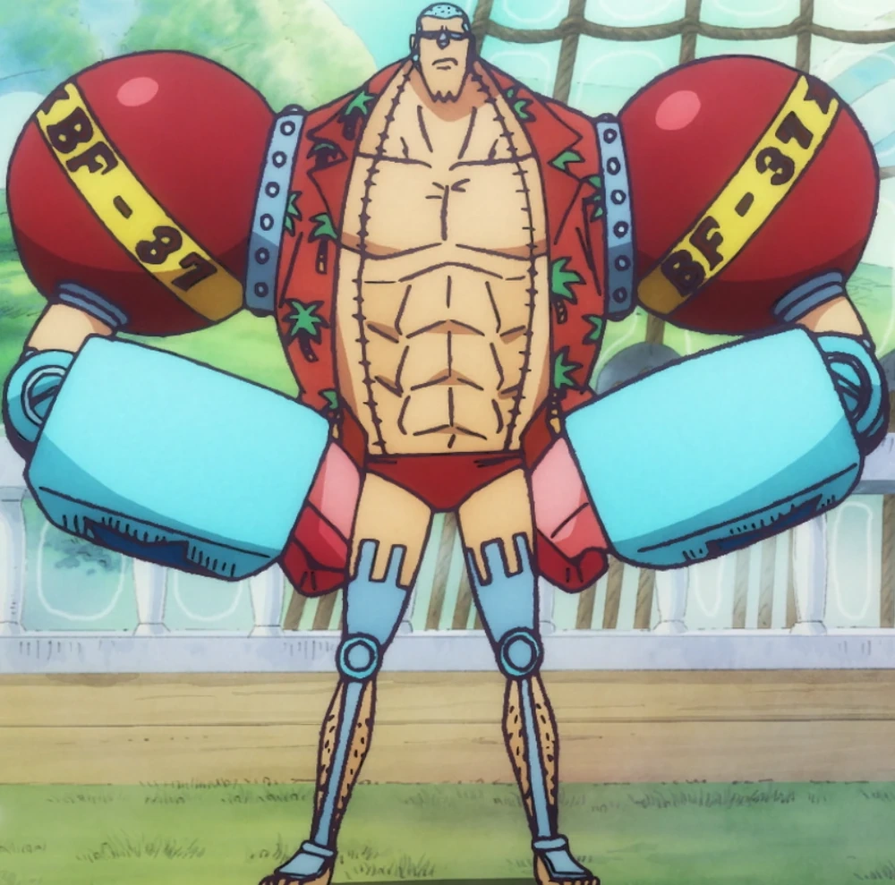 A Quel Episode Franky Rejoint L'équipage De Luffy