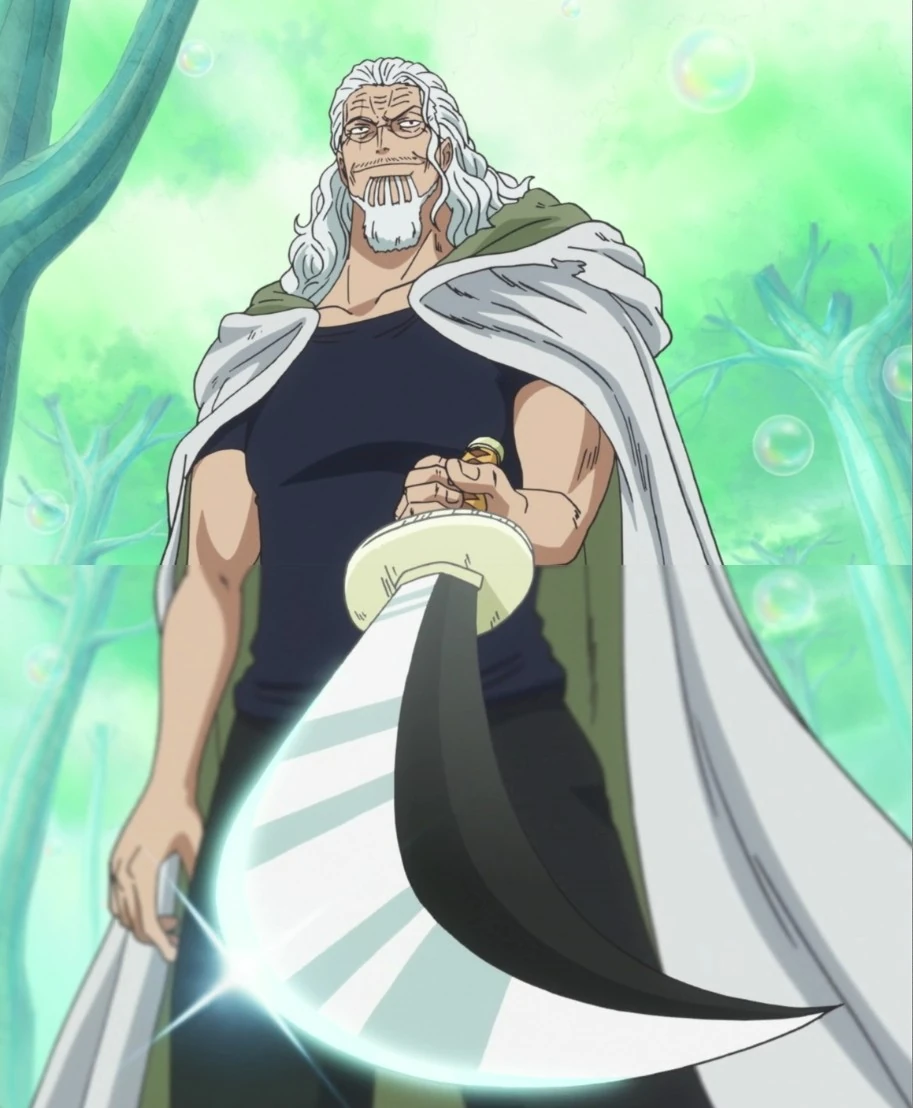 Silvers Rayleigh Wikia One Piece Fandom powered by Wikia