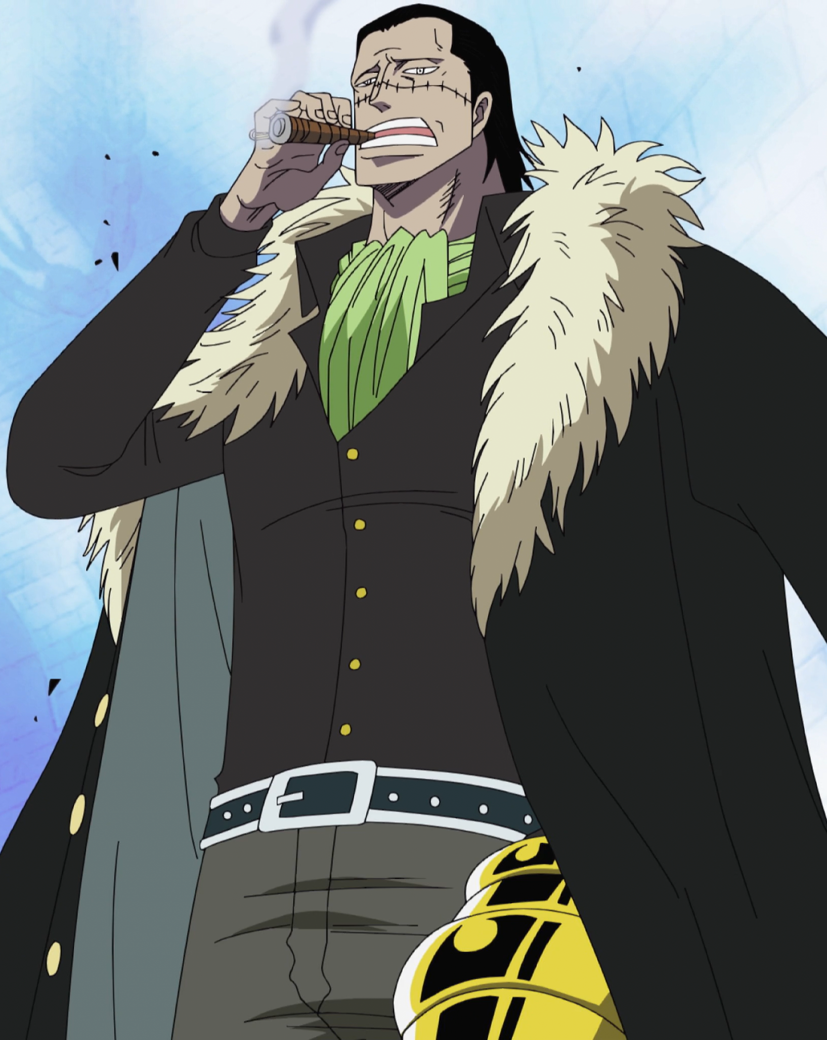http://vignette1.wikia.nocookie.net/onepiece/images/f/fd/Crocodile_Anime_Infobox.png/revision/latest?cb=20131221150142