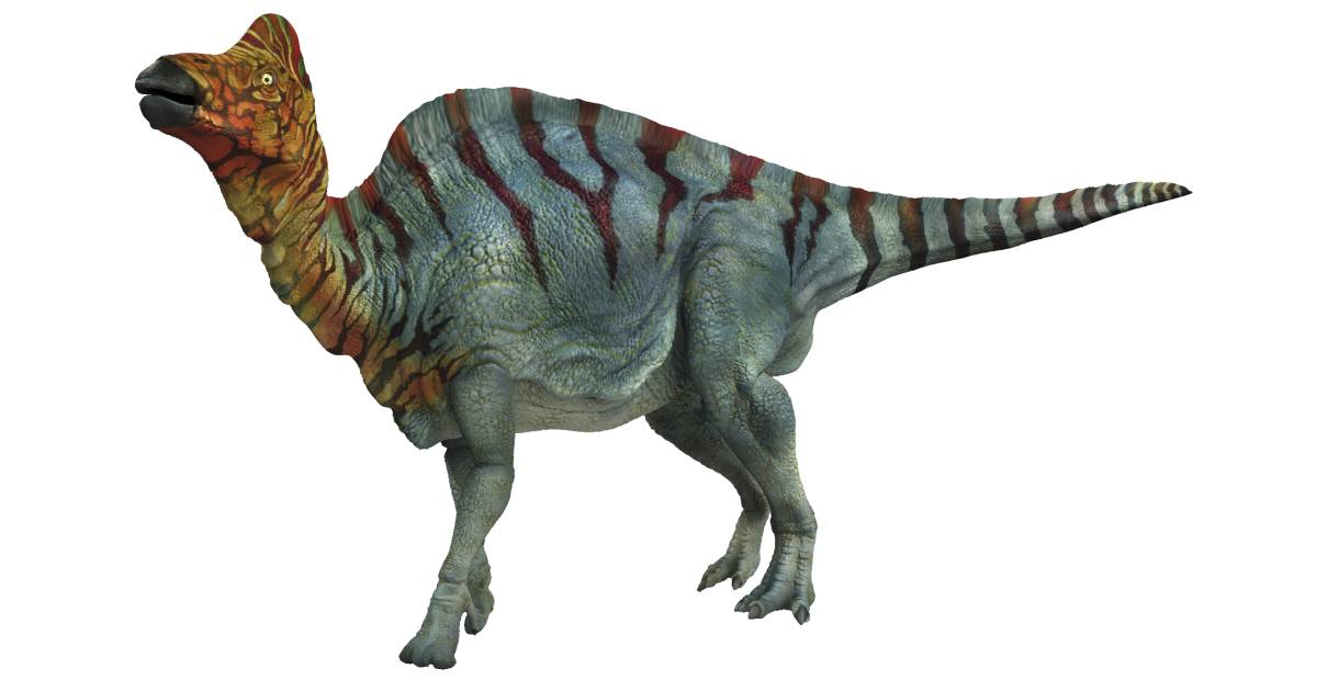 safari ltd corythosaurus
