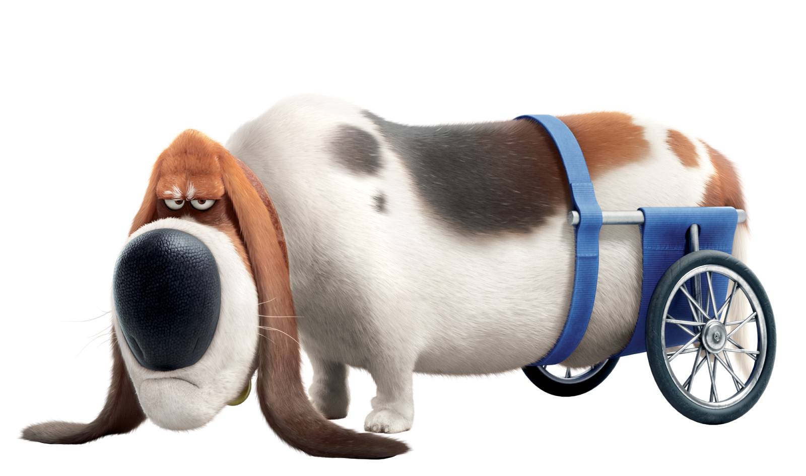 Pops The Secret Life Of Pets The Parody Wiki Fandom Powered By Wikia pops-the-secret-life-of-pets-the-parody-wiki-fandom-powered-by-wikia