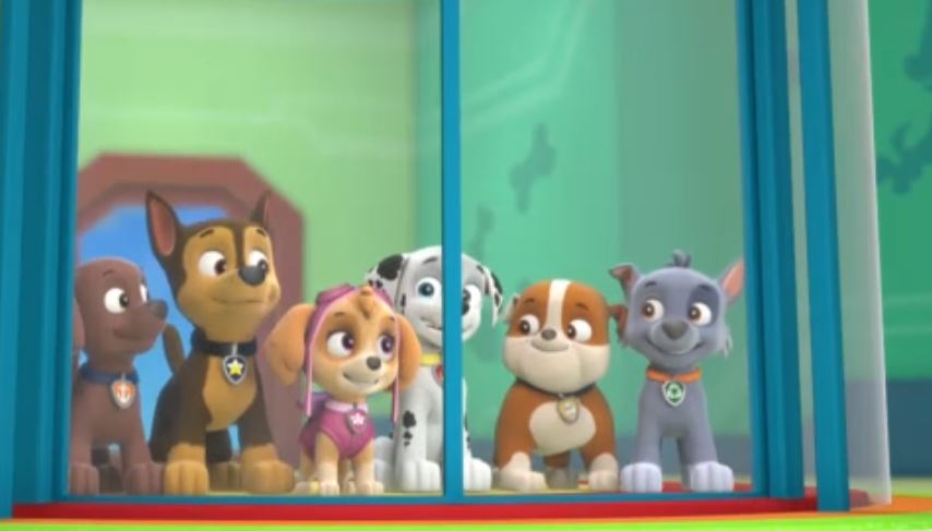 Image - Marshall skye 13.JPG | PAW Patrol Fanon Wiki | Fandom powered by Wikia