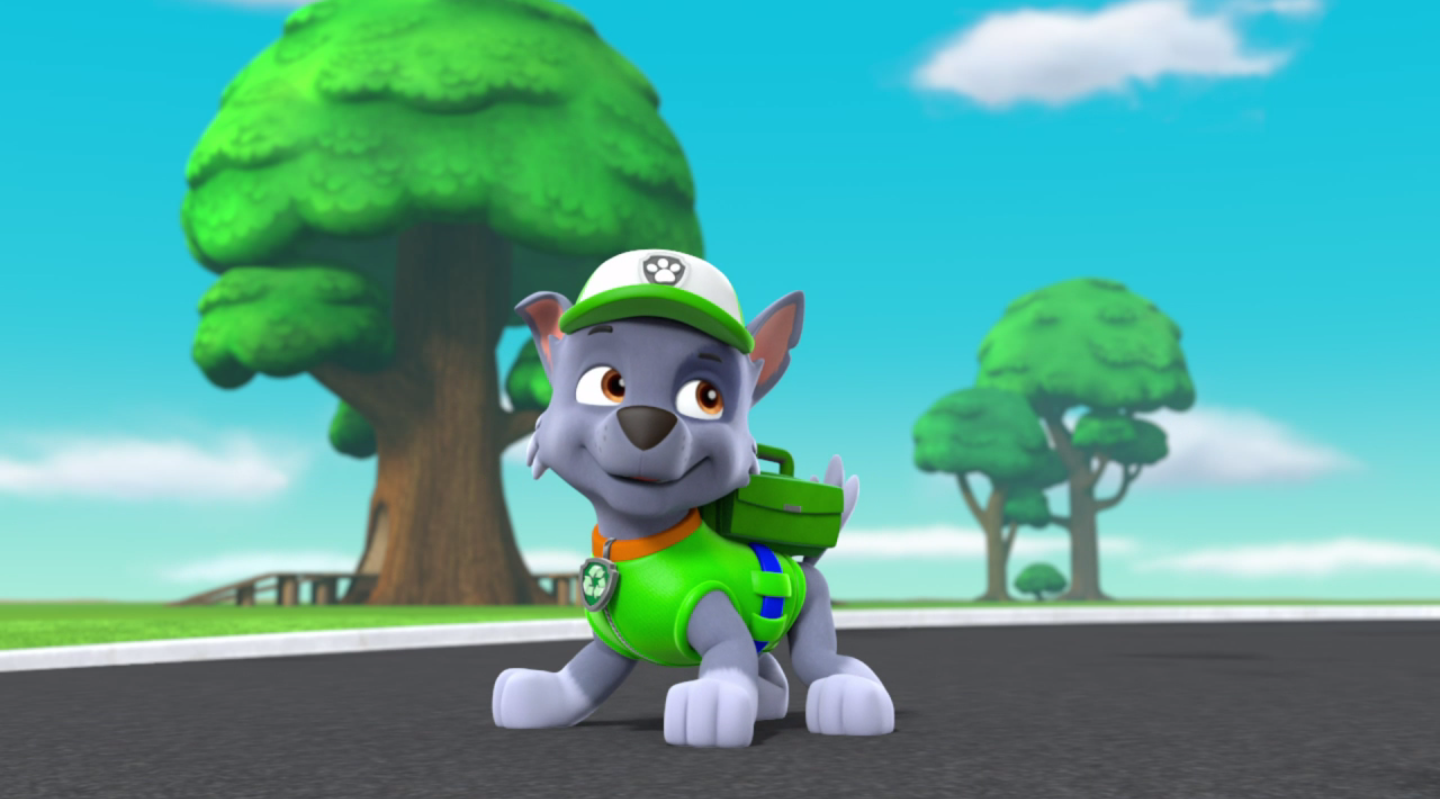 rocky pup paw patrol
