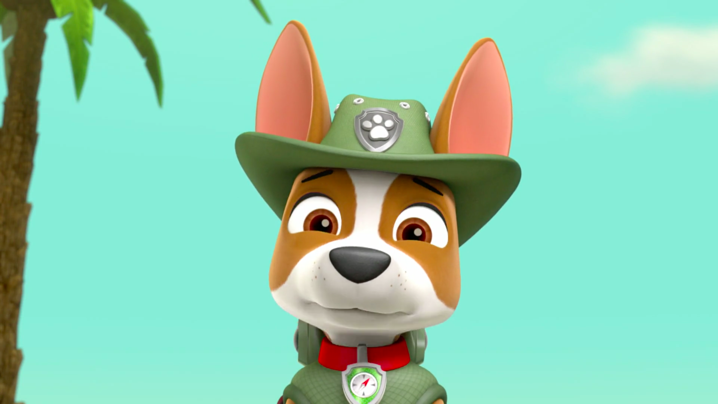 what of is tracker from paw patrol image paw patrol 315 94 tracker png paw patrol wiki fandom powered by wikia what of is tracker from paw patrol image paw patrol 315 94 tracker png paw patrol wiki fandom powered by wikia