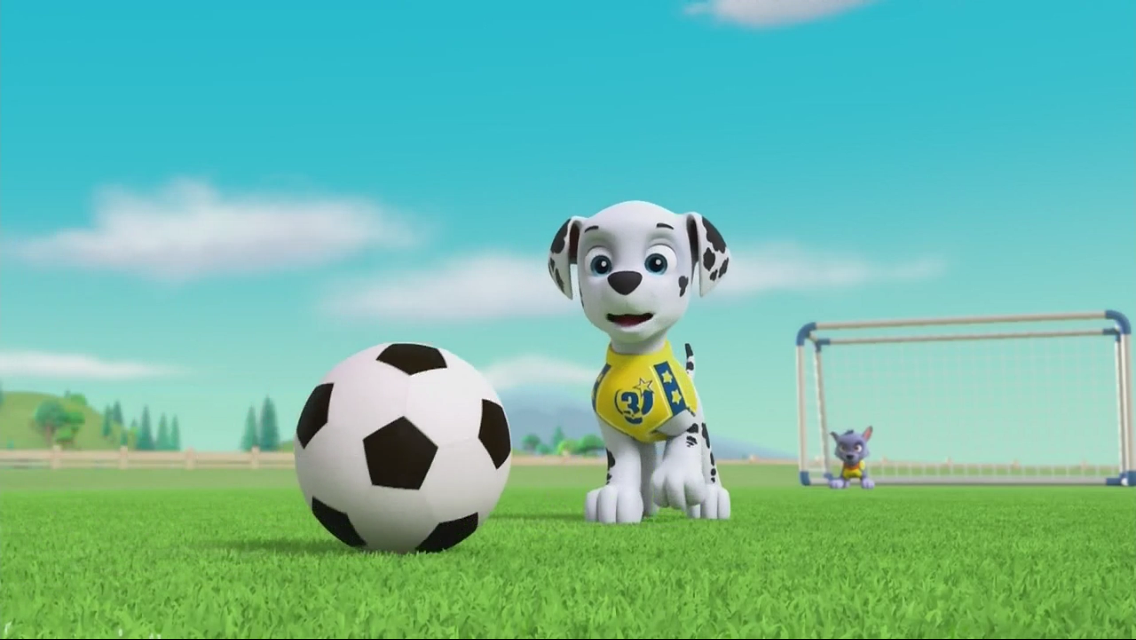 pups save sports day