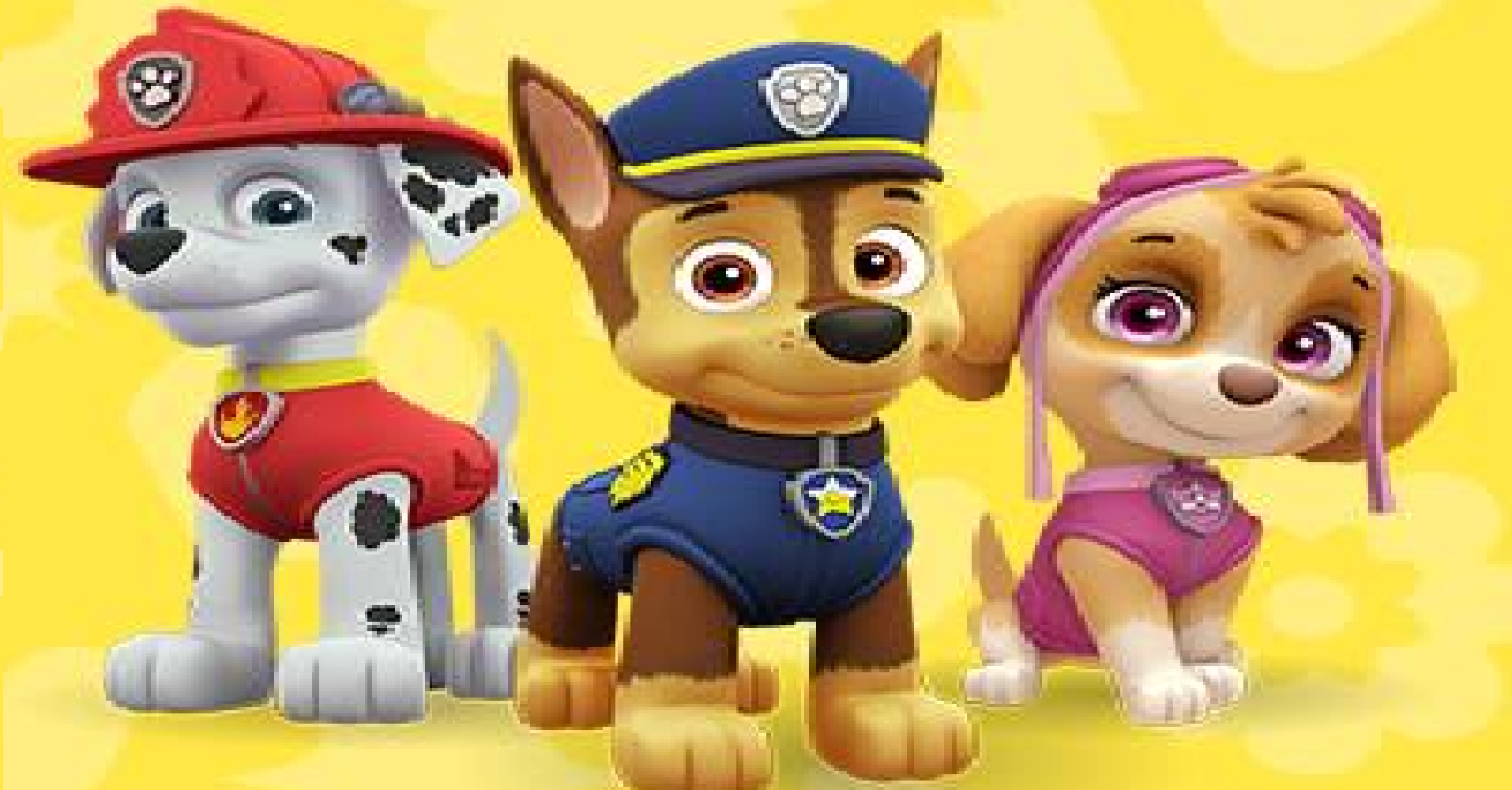 paw patrol chase and marshall track