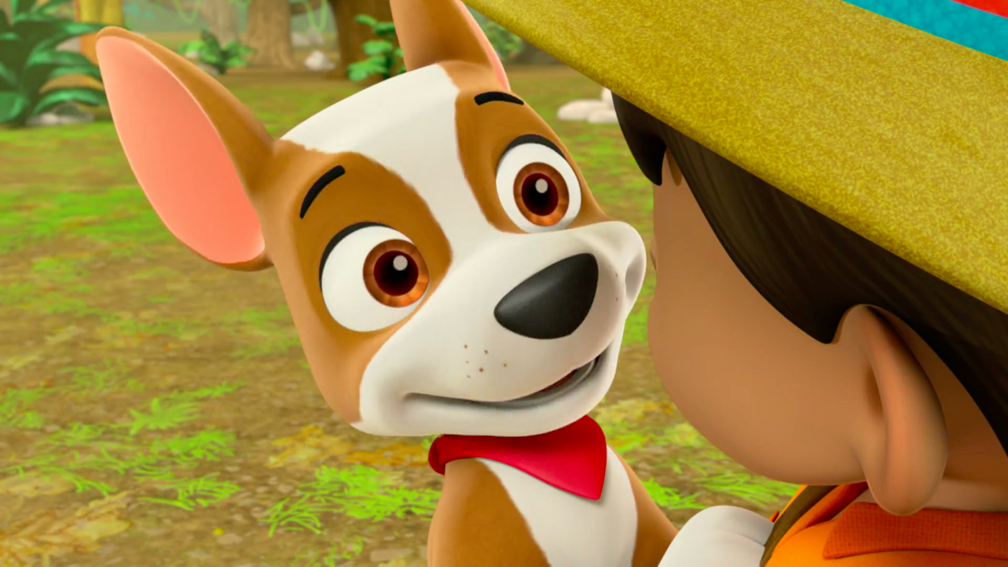 tracker and vehicle paw patrol