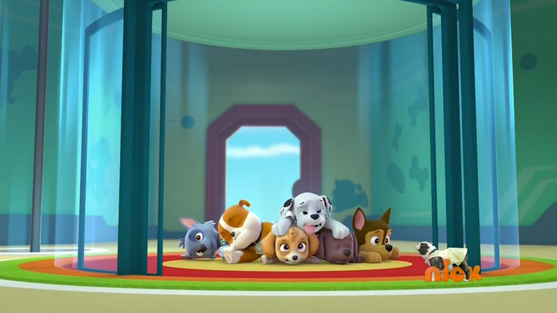 paw patrol pups save the parrot