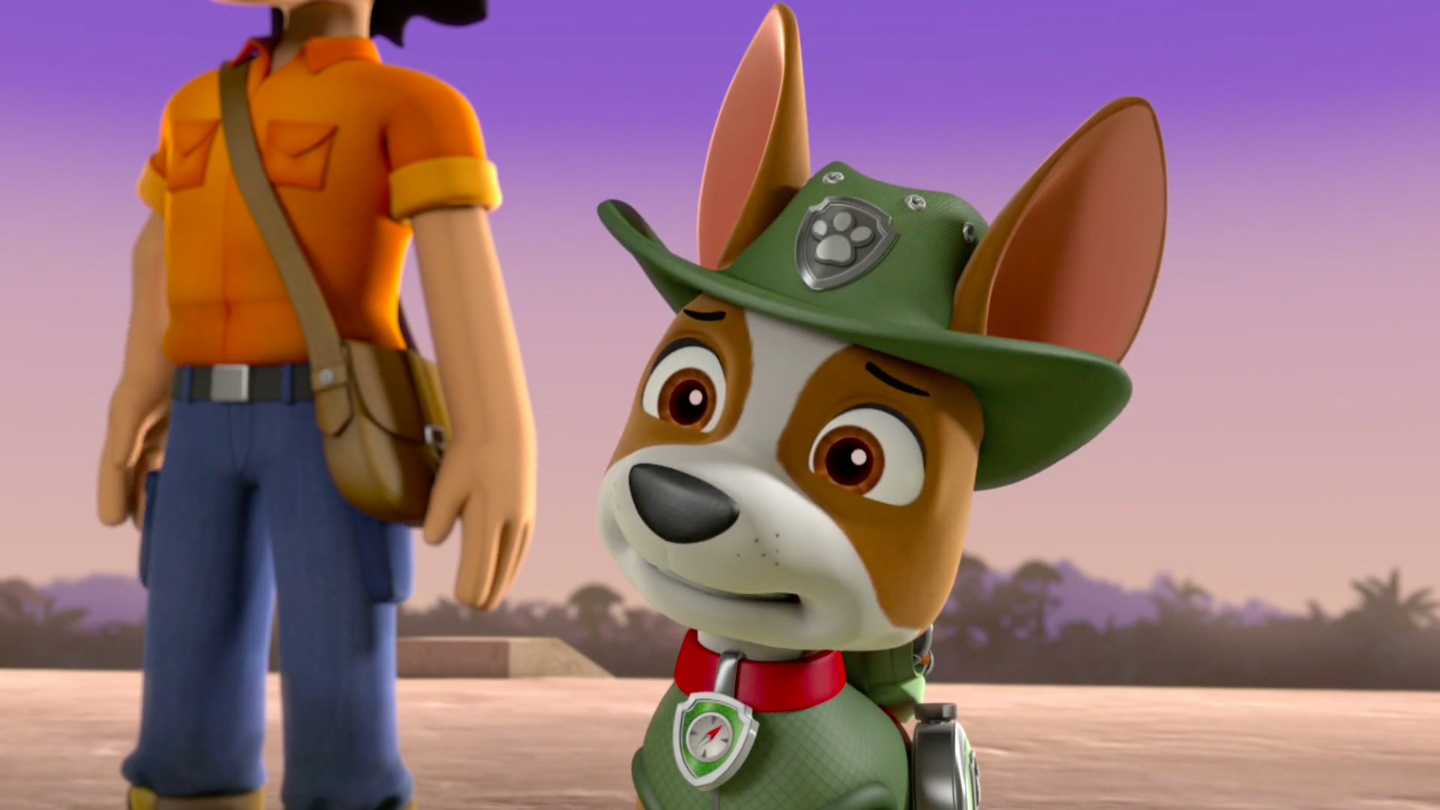 what of is tracker from paw patrol tracker paw patrol what of is tracker from paw patrol tracker paw patrol