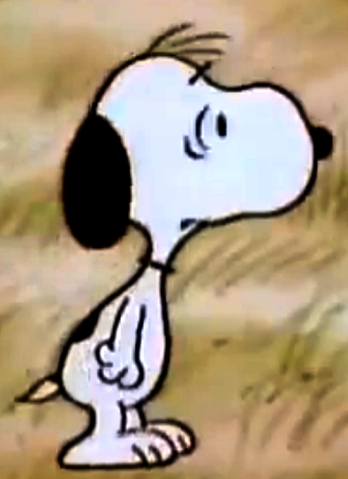 File:AmigosFicamPreocupados.png