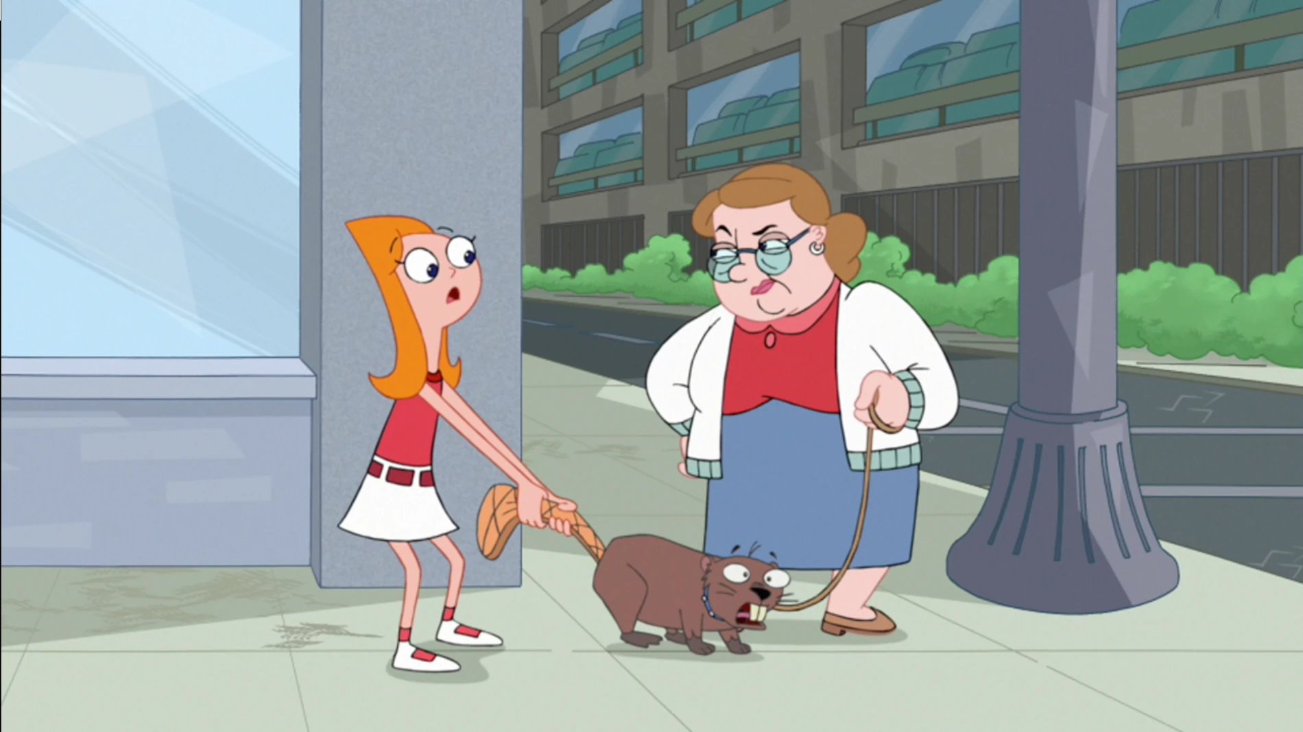 Image You have a pet beaver.jpg Phineas and Ferb Wiki Fandom