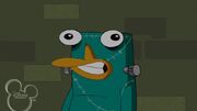 Platypus monster.jpg