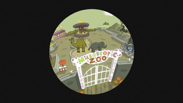 File:Zoo close-up.jpg