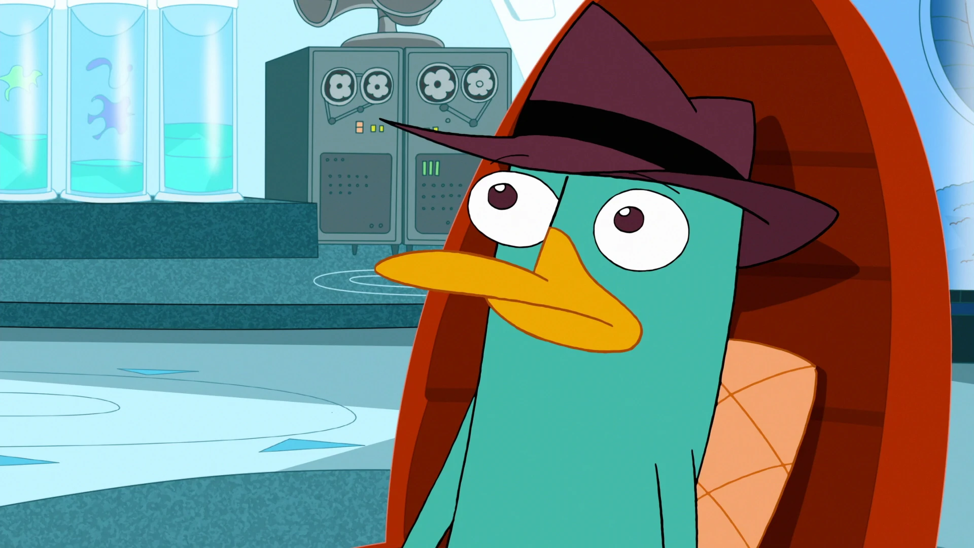 Image 322a Confused Perry.jpg Phineas and Ferb Wiki Fandom