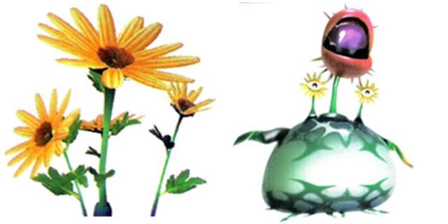 File:Chrysanthemums.jpg