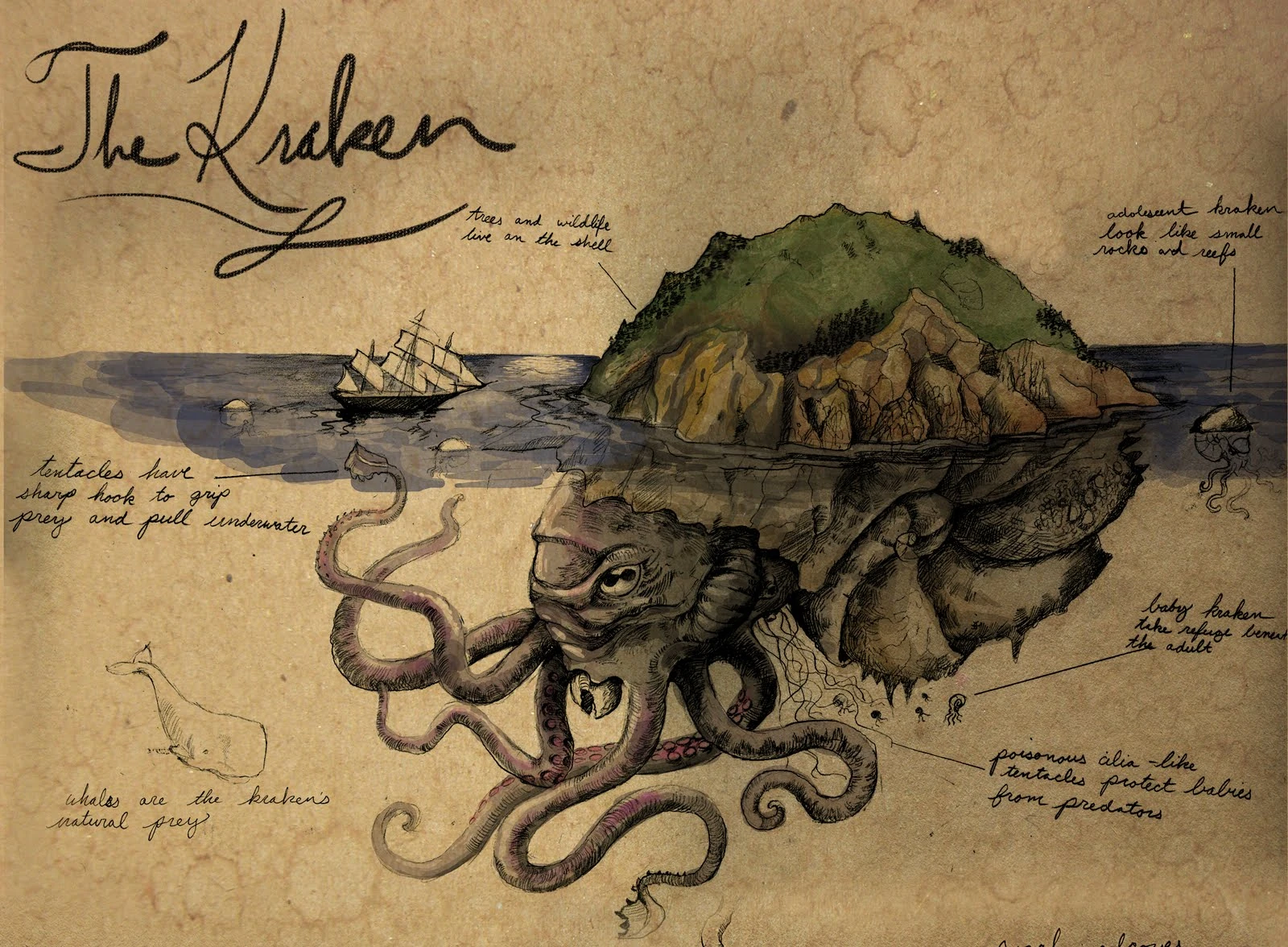 Kraken Wiki Pirates des caraibes Fandom powered by Wikia