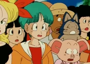 Lunch,Bulma,Wulong, Puar1