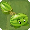 Melon-pult 2