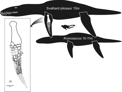 Jurassic Giant: Norway Pliosaur Largest Marine Reptile Ever Found