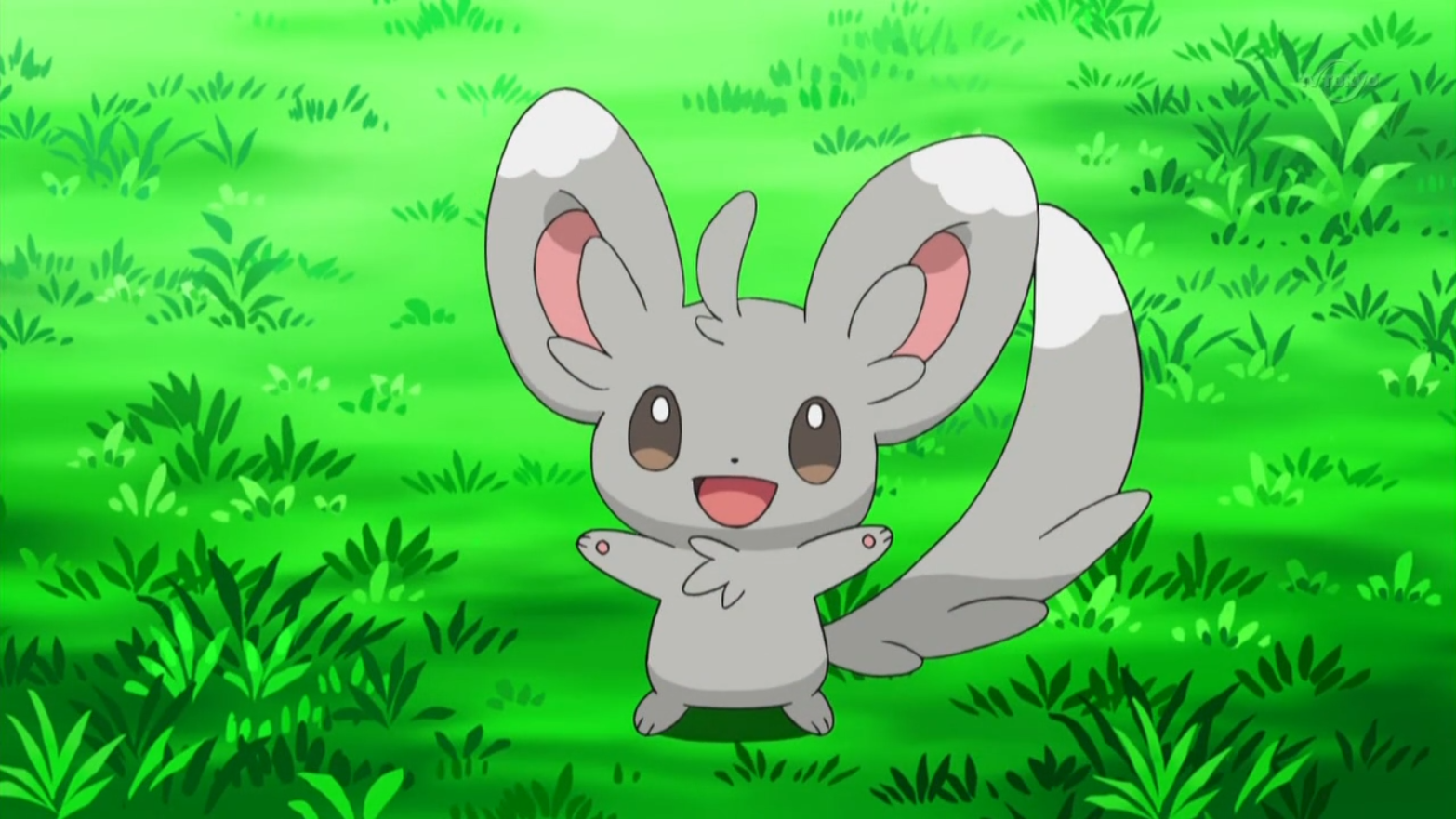 Bianca s Minccino Pokémon Wiki Bianca s Minccino