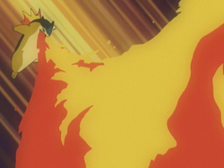 Mr. Moore's Typhlosion | Pokémon Wiki | Fandom powered by Wikia