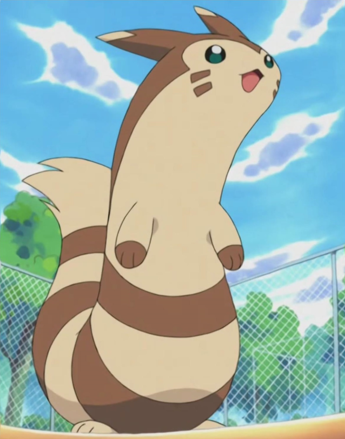 furret pokemon size