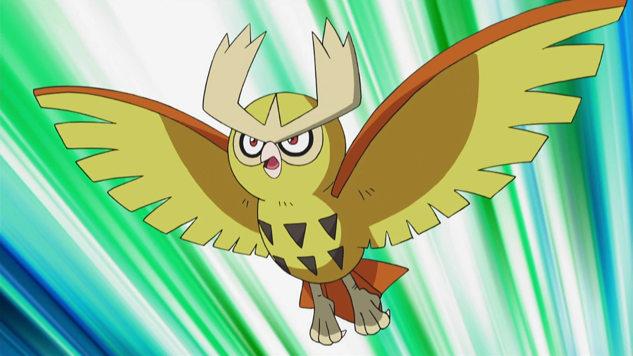 Noctowl Asha Pokémon Wiki FANDOM powered by Wikia