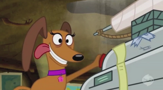 Strudel pushes the button