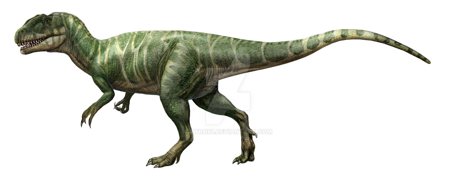 Resultado de imagen de piatnitzkysaurus