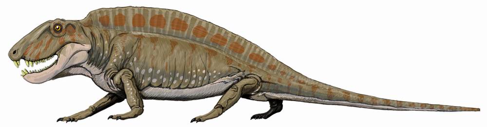 Resultado de imagen de sphenacodon