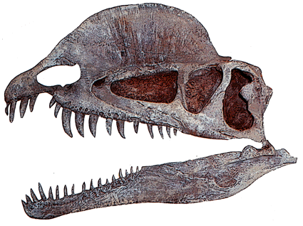 Dilophosaurio Latest?cb=20130328193750&path-prefix=es