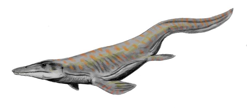 Resultado de imagen para tylosaurus