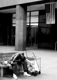 Homeless - American Flag